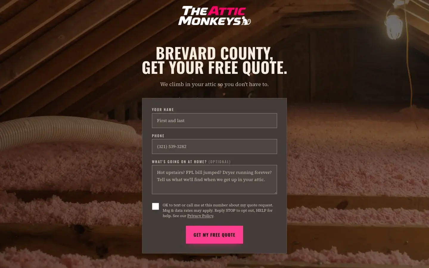 The Attic Monkeys. Insulation contractor website built and run by NovraScale